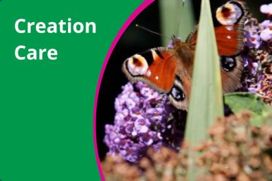 thumbnail - Creation Care.png