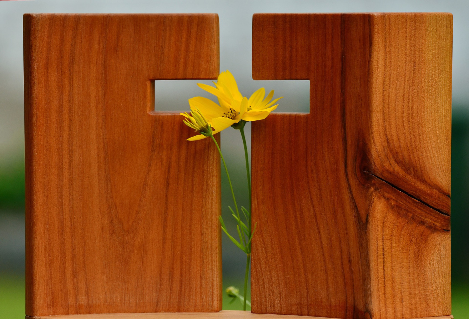 Cross and a flower