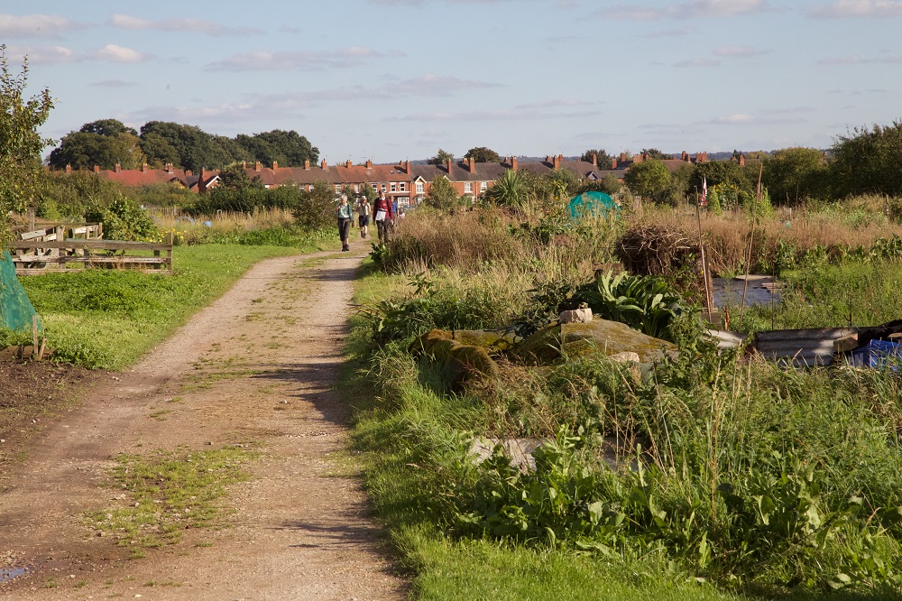 Walking through the allotments of Stafford