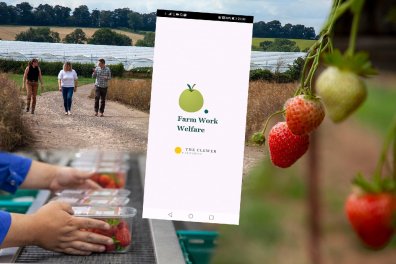 Open Farm Worker Welfare App picks the good fight